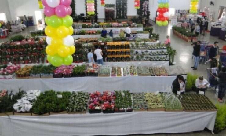 ECOFLORES 800x445 1