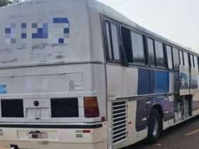 ONIBUS 800x445 1