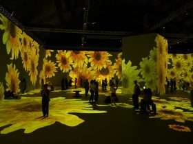 VANGOGWES