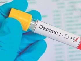 dengue 800x445 1