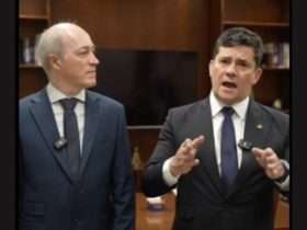 candidatos 1 1