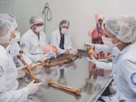 ESTUDANTES 800x445 1