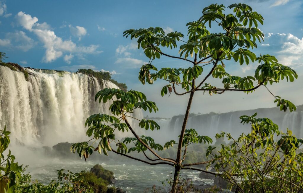 Natal nas Cataratas: confira a programação especial do Parque Nacional do Iguaçu 2 c594948f d848 40eb 8af9 1ea9f54c5a05