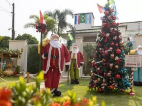 decoracao