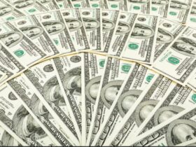 dolares