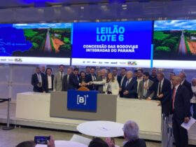 leilao lote 6