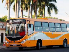 onibus papai noel