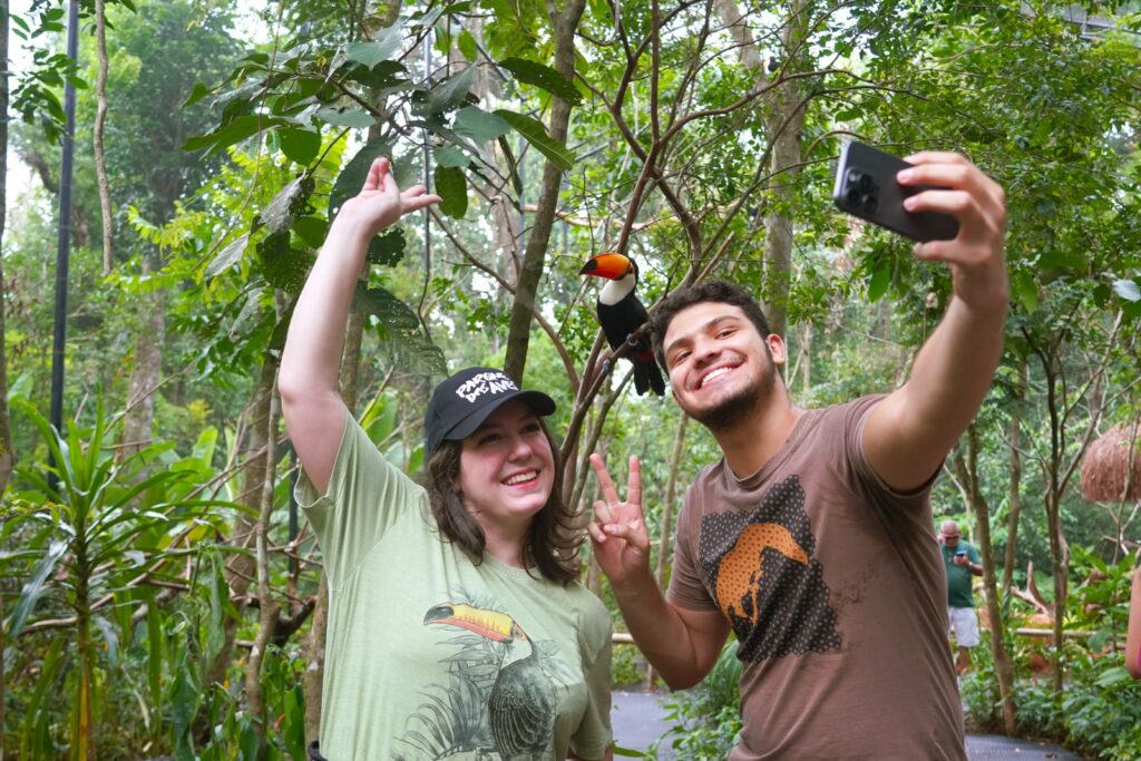Novidade em Foz do Iguaçu: Parque das Aves inaugura viveiro para abrigar tucanos 2 6821c713 e708 4a1e 89ca 434ab298b4c2