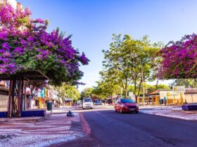 avenida brasil