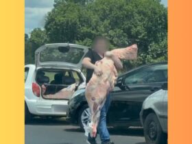 Pessoas 'abraçam' pedaços de carne enquanto saqueiam carga após acidente com caminhão no Paraná