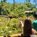 Floresta dos Primatas oferece experiência única aos visitantes no Eco Park Foz