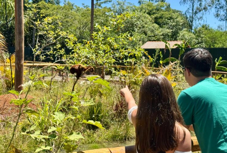 Floresta dos Primatas oferece experiência única aos visitantes no Eco Park Foz