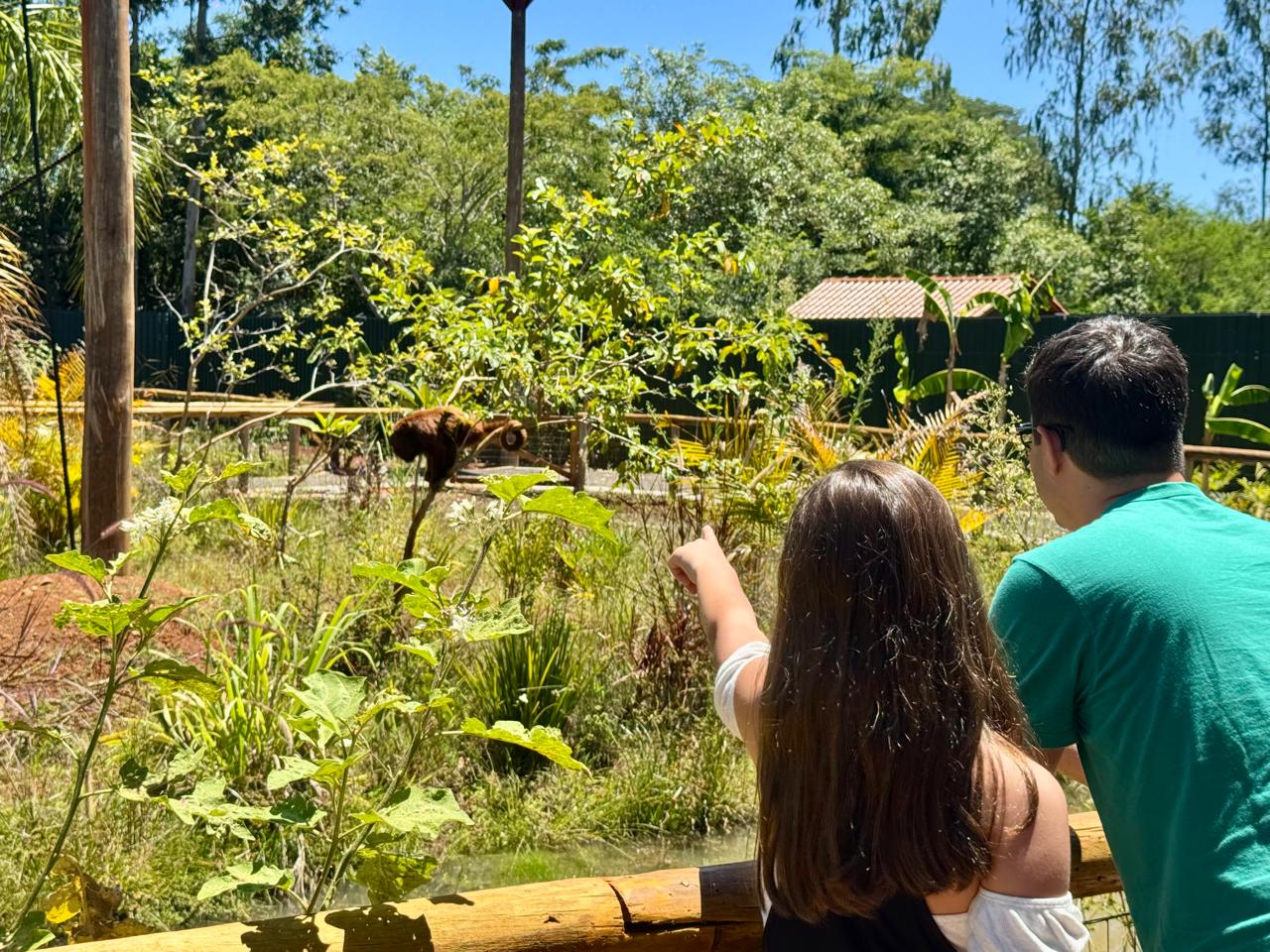 Floresta dos Primatas oferece experiência única aos visitantes no Eco Park Foz