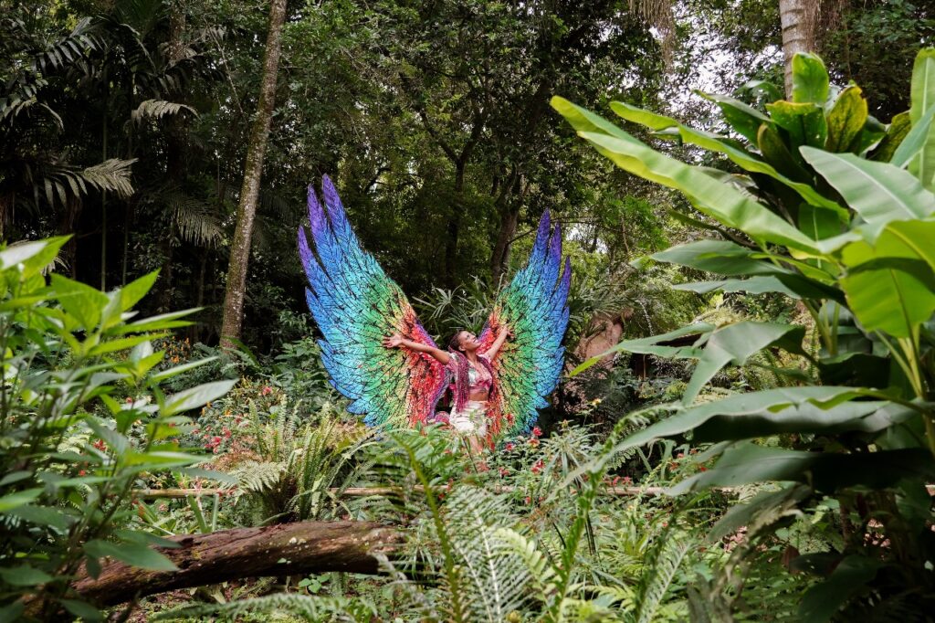 Parque das Aves de Foz do Iguaçu atualiza horário de funcionamento com fechamento às 16h30 3 parque das aves 1