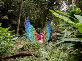parque das aves 1