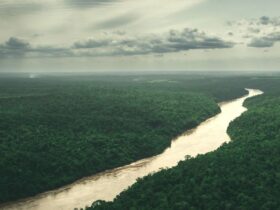 parque nacional do iguacu