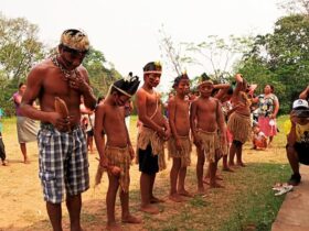 Será proposta a criação de um comitê com parlamentares e organizações sociais para acompanhamento dos casos de violações de direitos dos Avá-Guarani. Foto: Cimi Regional Sul