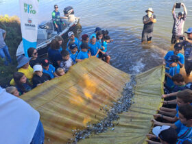 peixes 3 sedest