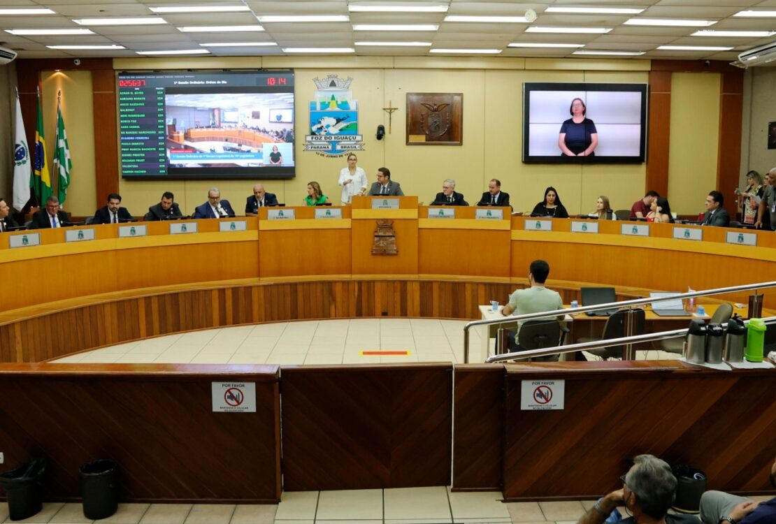 plenario camara foz
