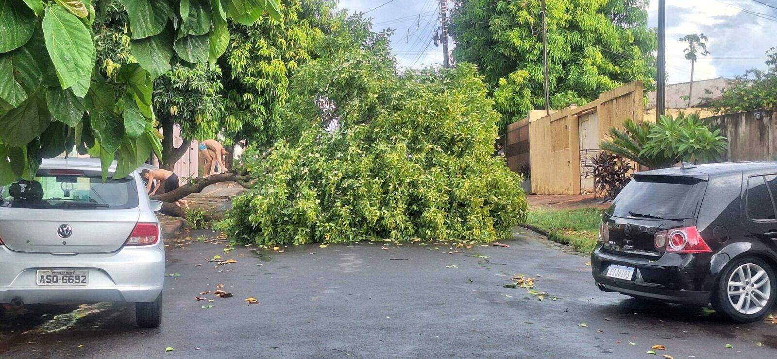 tempestdo foz 3