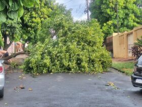tempestdo foz 3