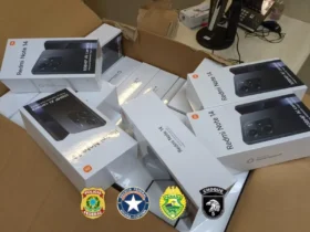 Operacao apreende celulares escondidos em caminhao0327026600202503131035 14