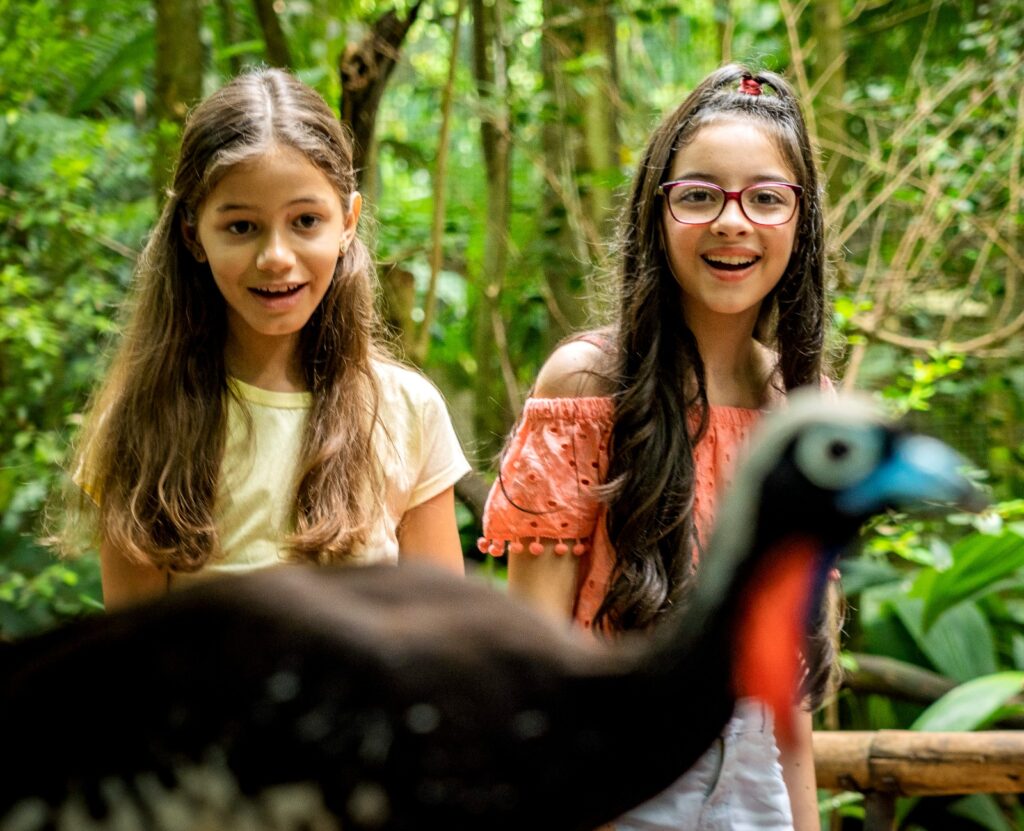 Último dia para morador de Foz do Iguaçu visitar o Parque das Aves sem pagar 2 parque das aves 1