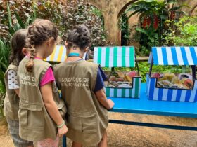 parque das aves clubinho 1