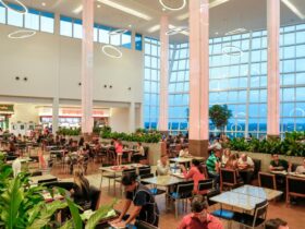 Imagem do WhatsApp de 2025 04 02 as 09.50.20 2a5ed19d