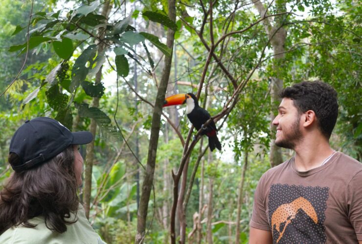 parque das aves 2