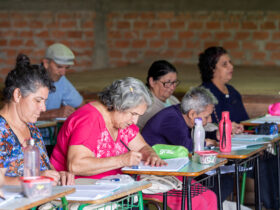 O Alfabetiza Paraná irá ofertar 1.200 turmas em 396 municípios paranaenses, com atendimento estimado de até 17 mil estudantes. Foto: Hugo Silveira / SEED-PR