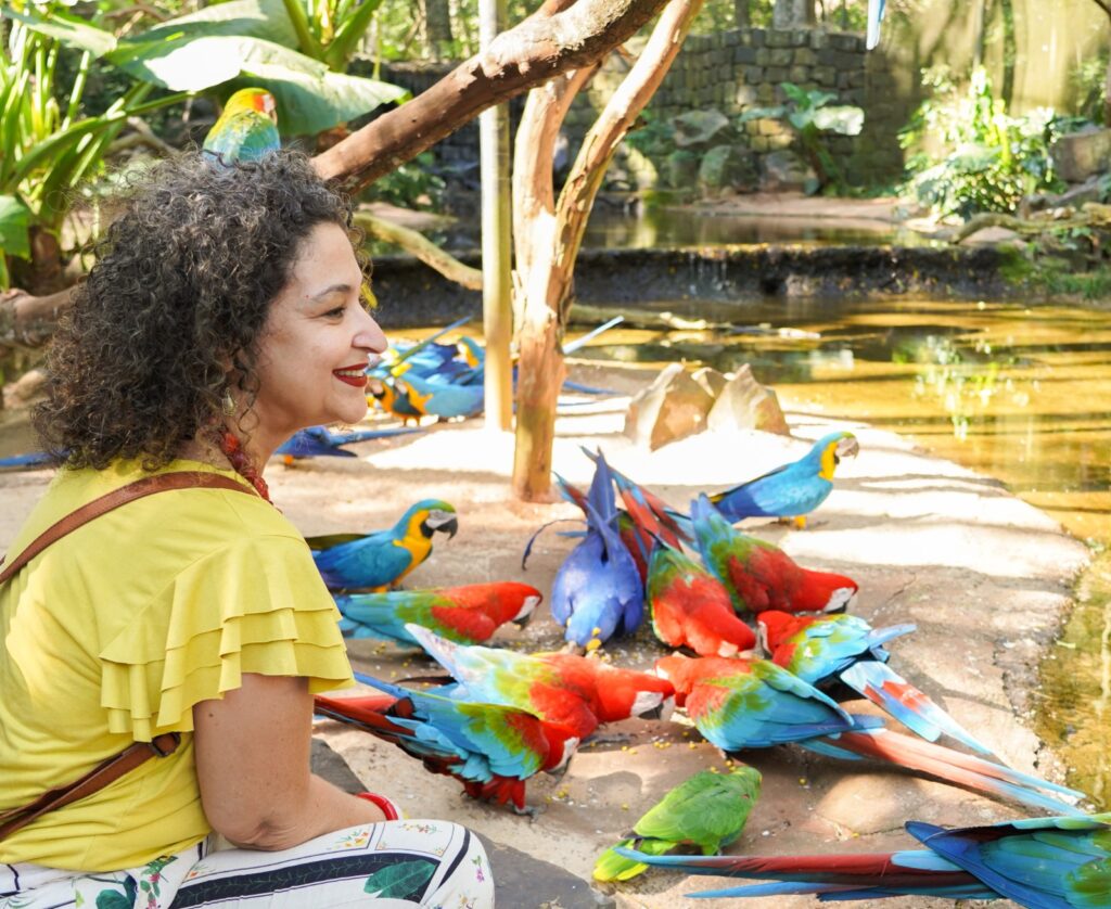 Foto: Divulgação/ Parque das Aves