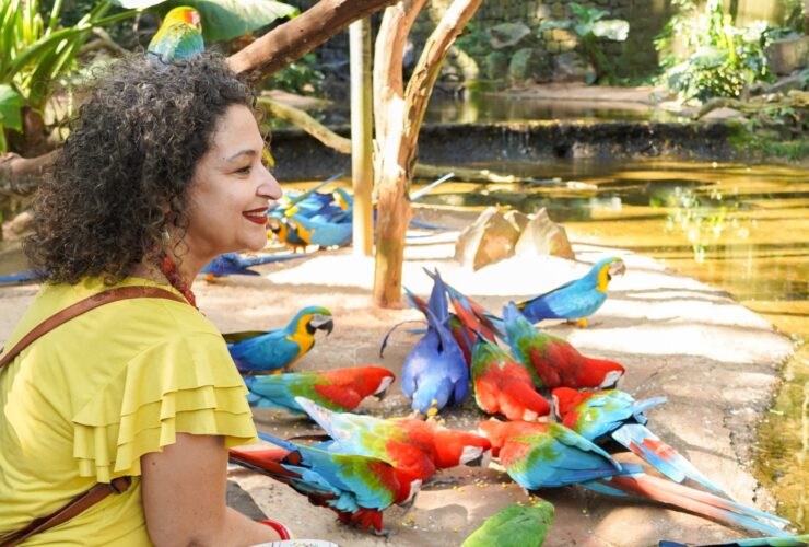 Foto: Divulgação/ Parque das Aves