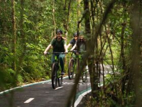 bike cataratas 1