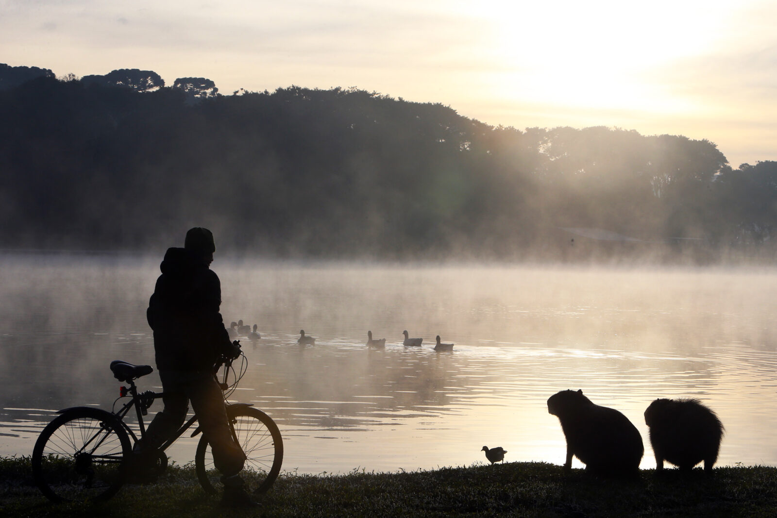 Após recordes de frio em todo o Paraná na quinta, termômetros vão cair ainda mais. Foto: Orlando Kissner/Arquivo AEN