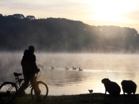 Após recordes de frio em todo o Paraná na quinta, termômetros vão cair ainda mais. Foto: Orlando Kissner/Arquivo AEN