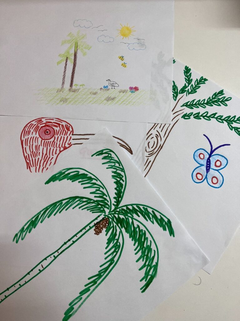 Parque das Aves lança concurso de desenho em homenagem ao mês da Mata Atlântica 1 parque das aves 1