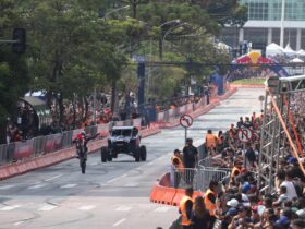 red bull curitiba