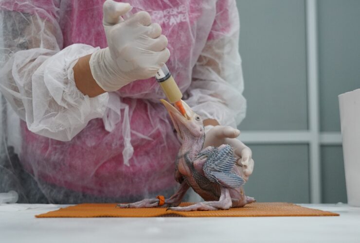 14dbcc5c fa6e 4d27 8c3d 1d86b64a11cc