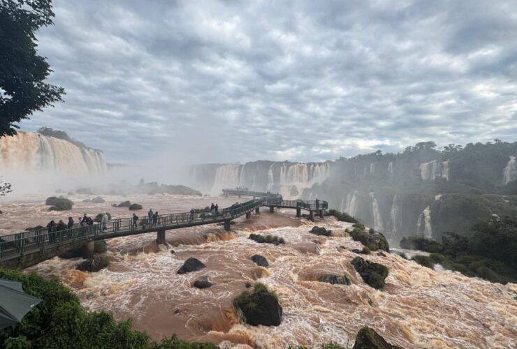 1f1e9ecd d576 4a74 a462 a6d7e56ce9e3