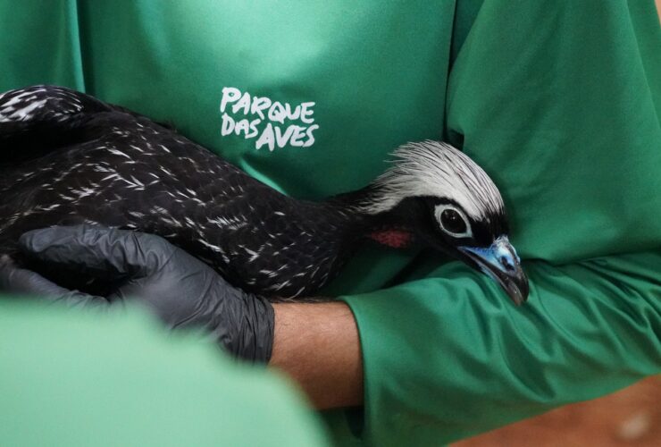 375bf610 0eb5 41b3 8202 2c79ba624704