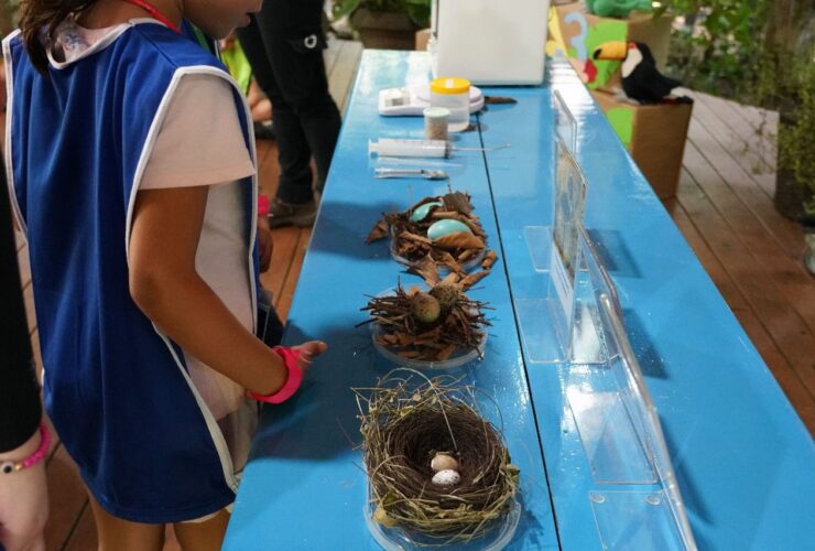 75bbd34b 3225 4a1e 97db 8d12b6efa291