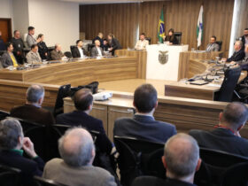Reunião ocorreu na manhã desta terça-feira (3), no Auditório Legislativo. Foto: Valdir Amaral/Alep