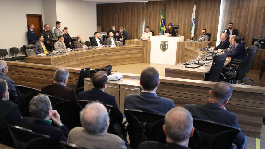 Reunião ocorreu na manhã desta terça-feira (3), no Auditório Legislativo. Foto: Valdir Amaral/Alep