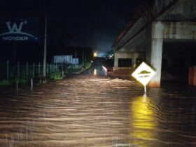 Imagem do WhatsApp de 2025 06 05 as 11.02.12 c906ed86