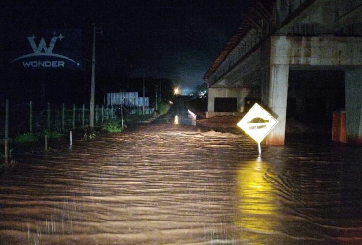 Imagem do WhatsApp de 2025 06 05 as 11.02.12 c906ed86