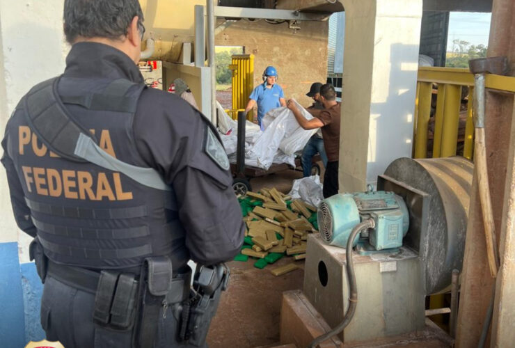 Imagem do WhatsApp de 2025 06 19 as 11.38.39 04eeb9fc