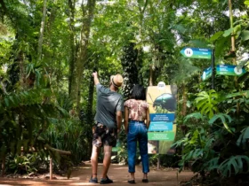 dia dos namorados foz parque das aves
