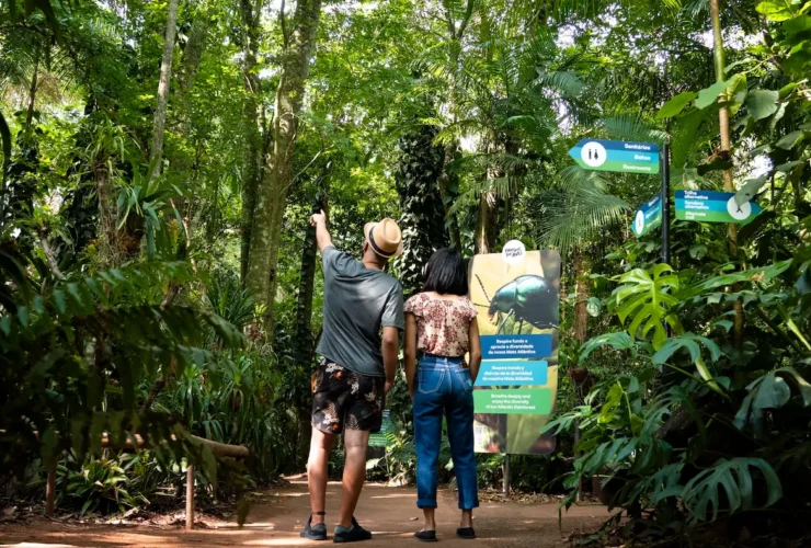 dia dos namorados foz parque das aves