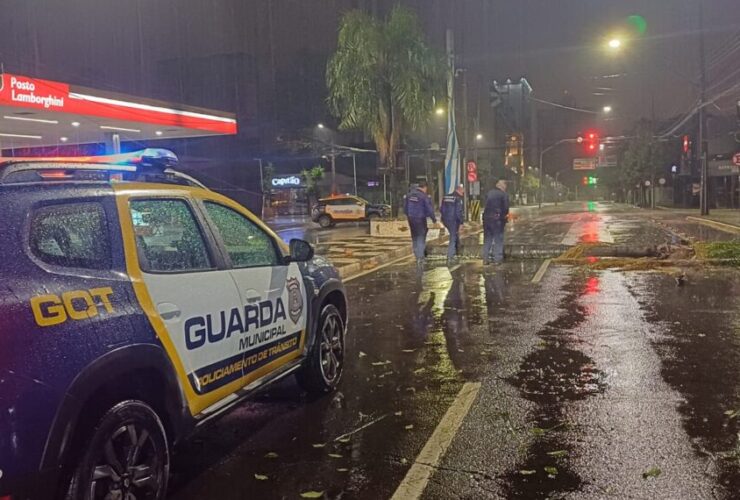 guarda municipal foz